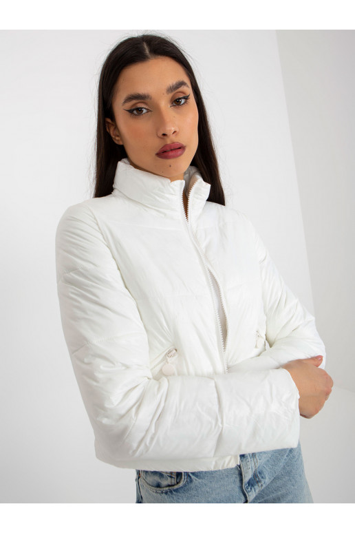 Trumpa pereinamojo laikotarpio...