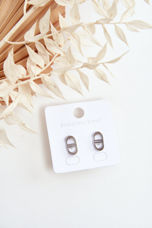 Ovalūs auskarai sidabro spalvos