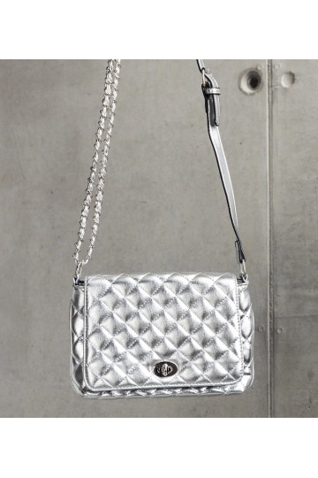 Sidabrinis dygsniuotas...