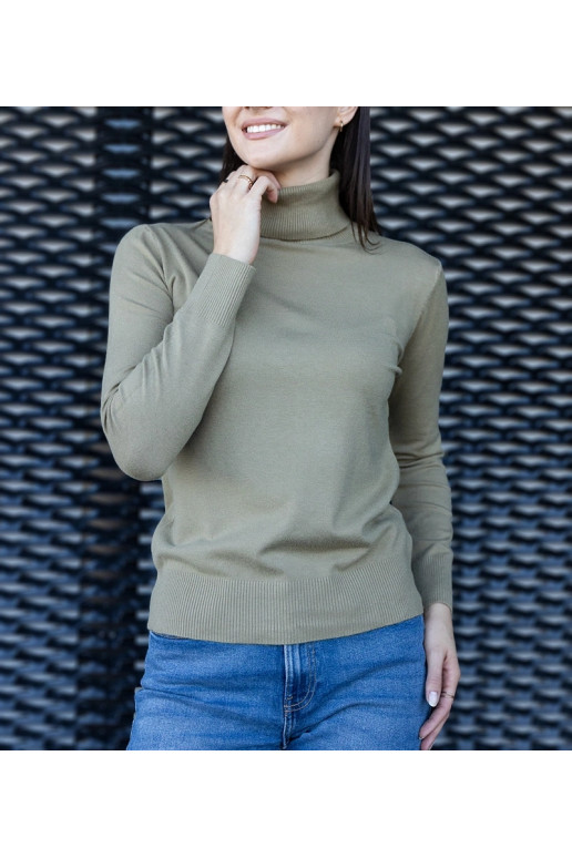 Žalias laisvo kirpimo vėžlys Nida