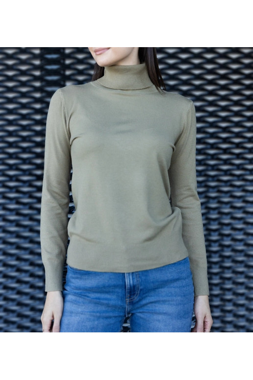 Žalias laisvo kirpimo vėžlys Nida