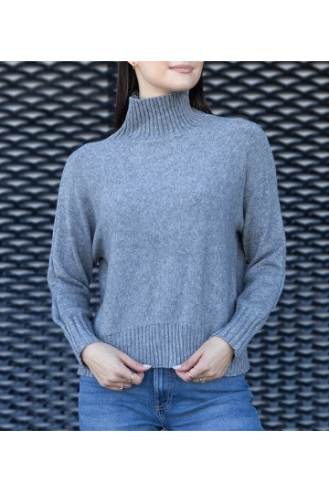 Pilkas laisvas Lukana vėžlys