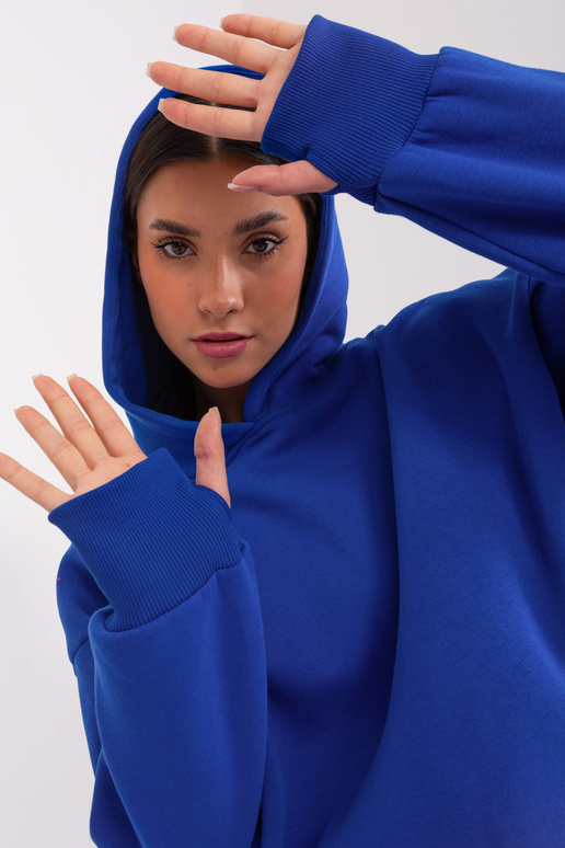 Rinkinys-RV-KMPL-9168.87-kobaltas