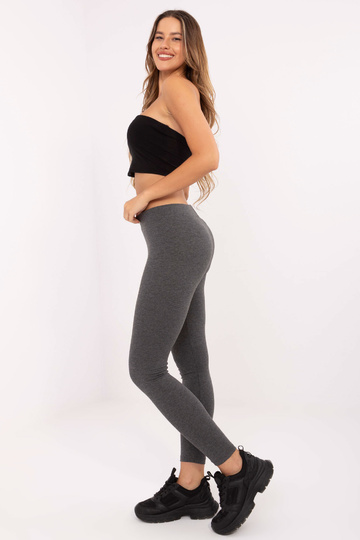 Tamsiai pilki Basic... 2