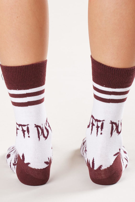 Skarpety-WS-SR-5046.48-bordowy