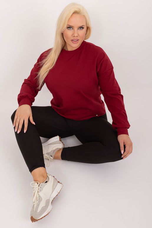 Bordo spalvos plius dydžio megztinis...