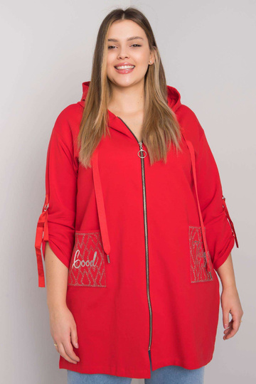 Raudonas Zurich plius... 2