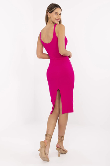 Fuksijos spalvos fuksijos... 2