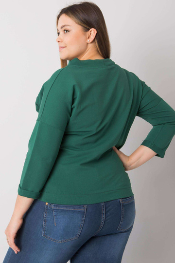 Tamsiai žalias didelio... 2