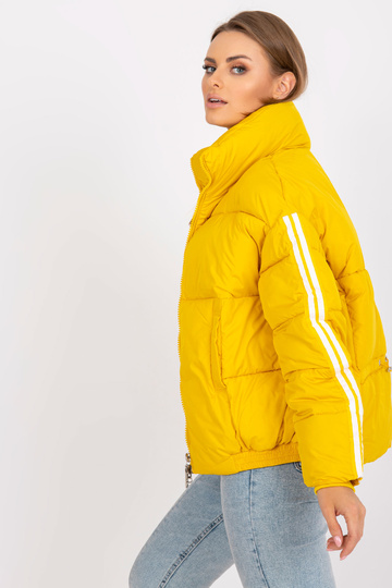 Geltona dygsniuota žieminė...