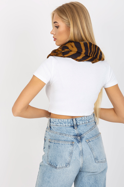 Kaminas su kupranugariais gyvūninės...