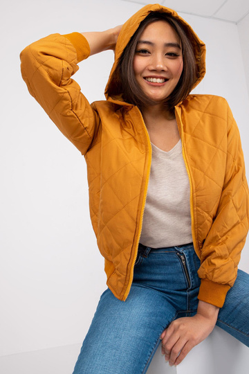 Tamsiai geltona trumpa... 2