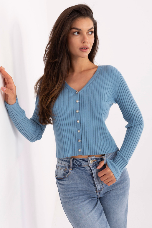 Šviesiai mėlynas megztinis