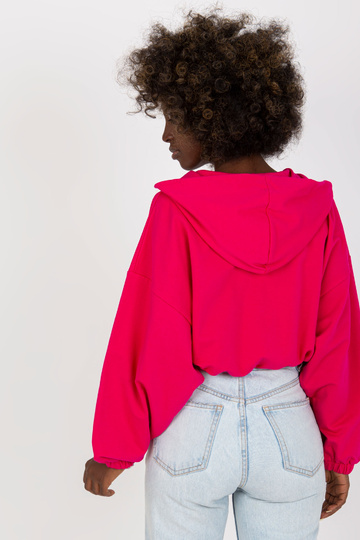 Fuksijos spalvos... 2