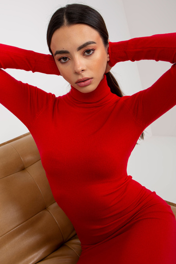 Raudona suknelė su kaklu 2