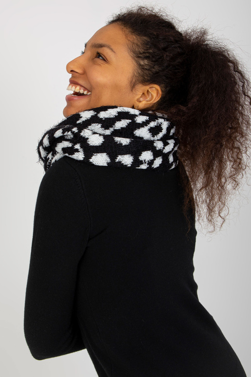 Baltas ir juodas žieminis kaminas su...