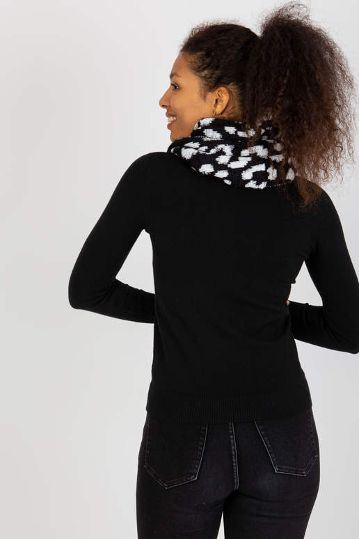 Baltas ir juodas žieminis kaminas su...