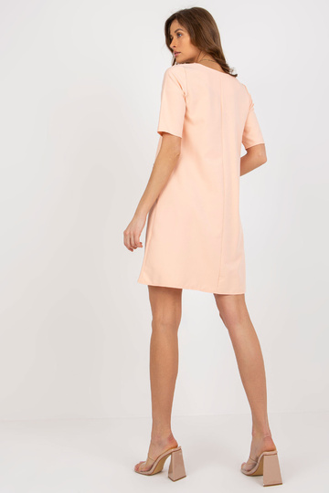 Persikinė paprasta... 2