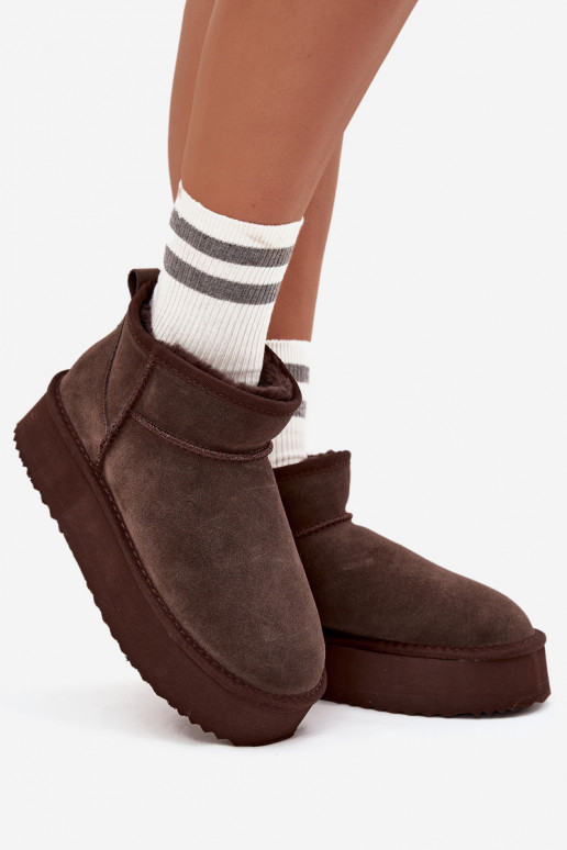 iš zomšos sniego batai  su platforma Vinceza 97962 Czekoladowe