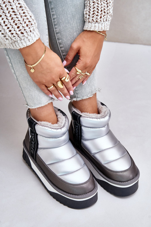  sniego batai su masyviu padu D.Franklin DFSH371010 sidabro spalvos