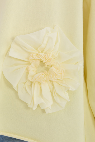 Palaidinė IT BZ šviesiai...