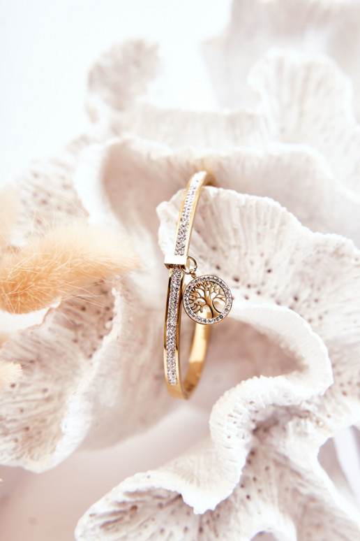 Plieno apyrankė su cirkonio akutėmis  aukso spalvos Alive