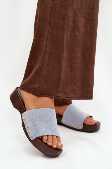 Moteriškos šlepetės Ze aukso spalvosmi  mėlynos spalvos Ferinna 2