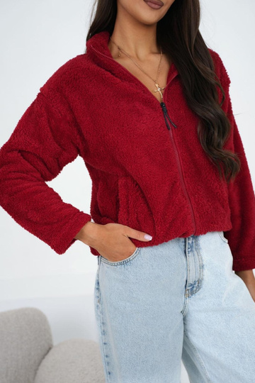 Tamsiai raudonas bliuzonas 2