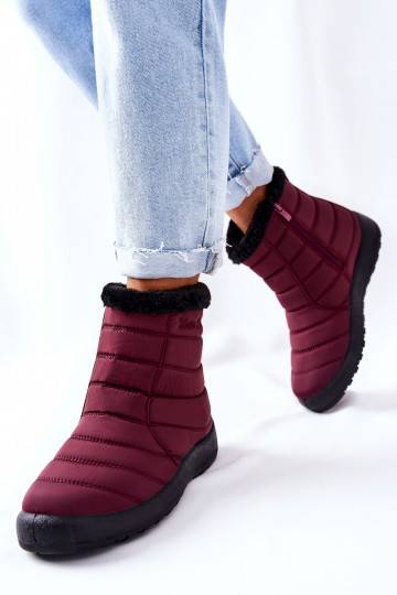 Sniego batai Burgund Mezyss 2